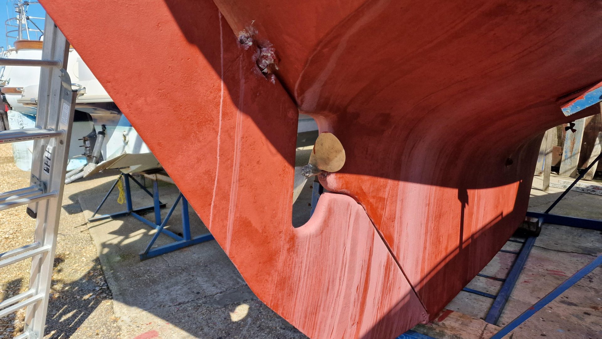 Contessa 26