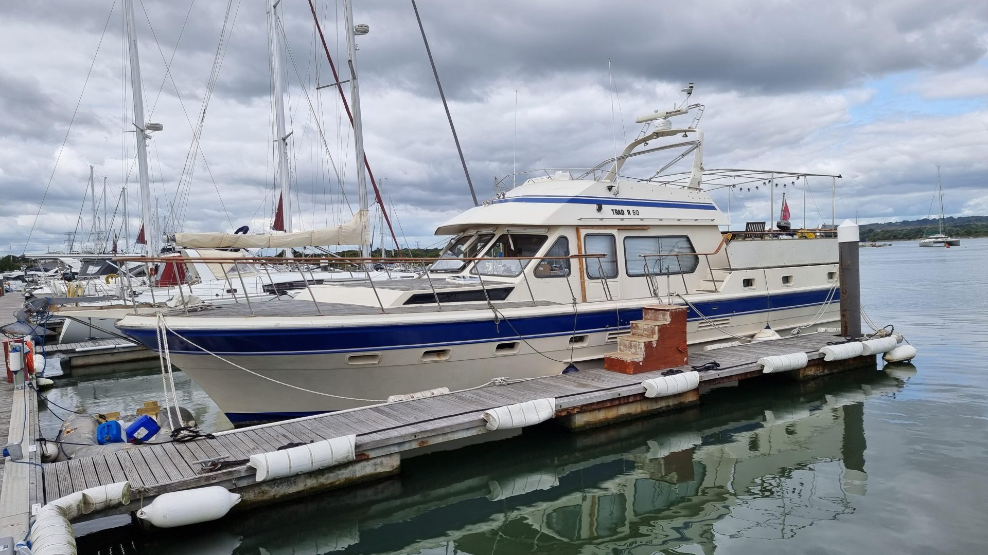 Trader 50