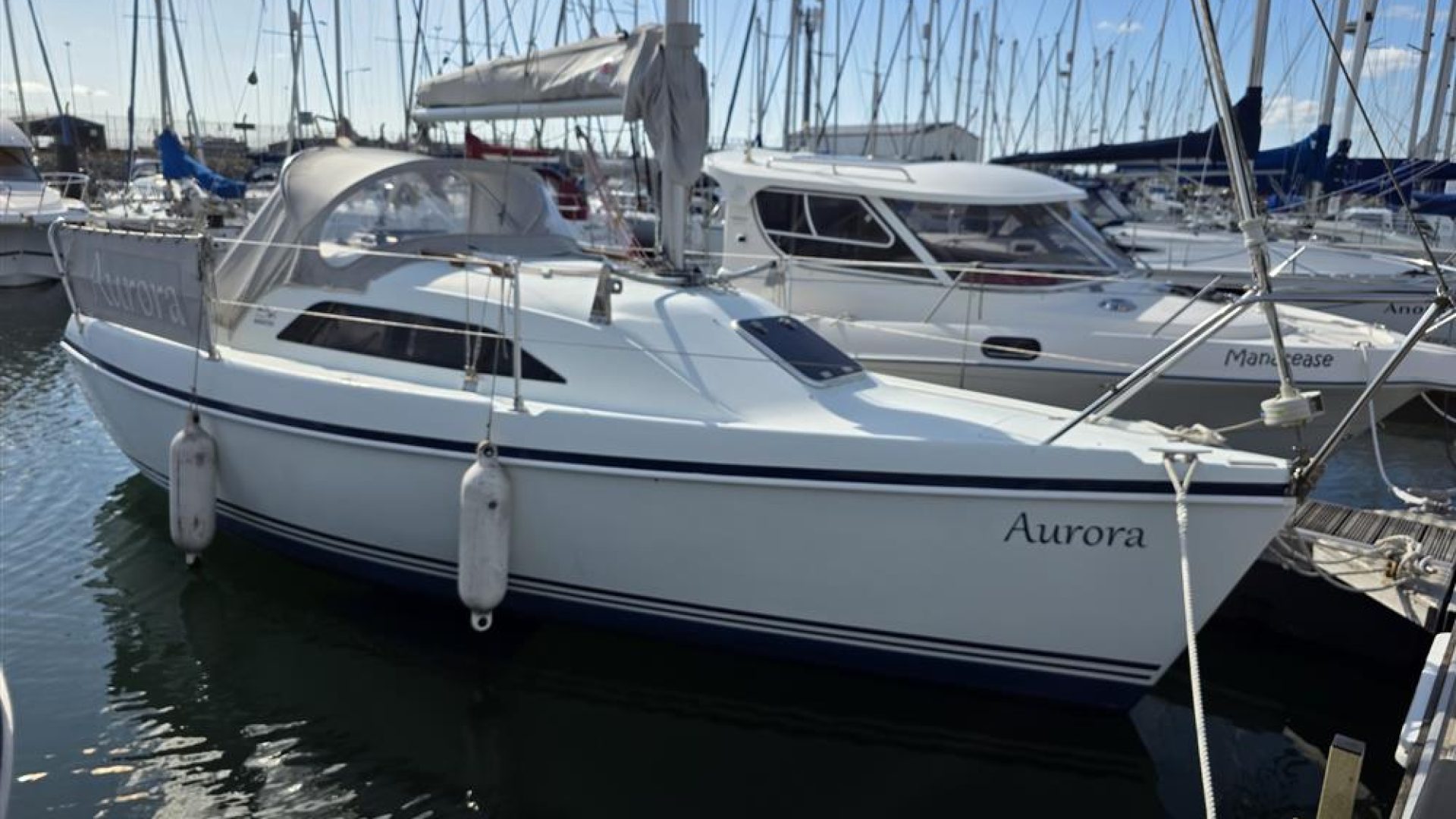 Hunter Ranger 245