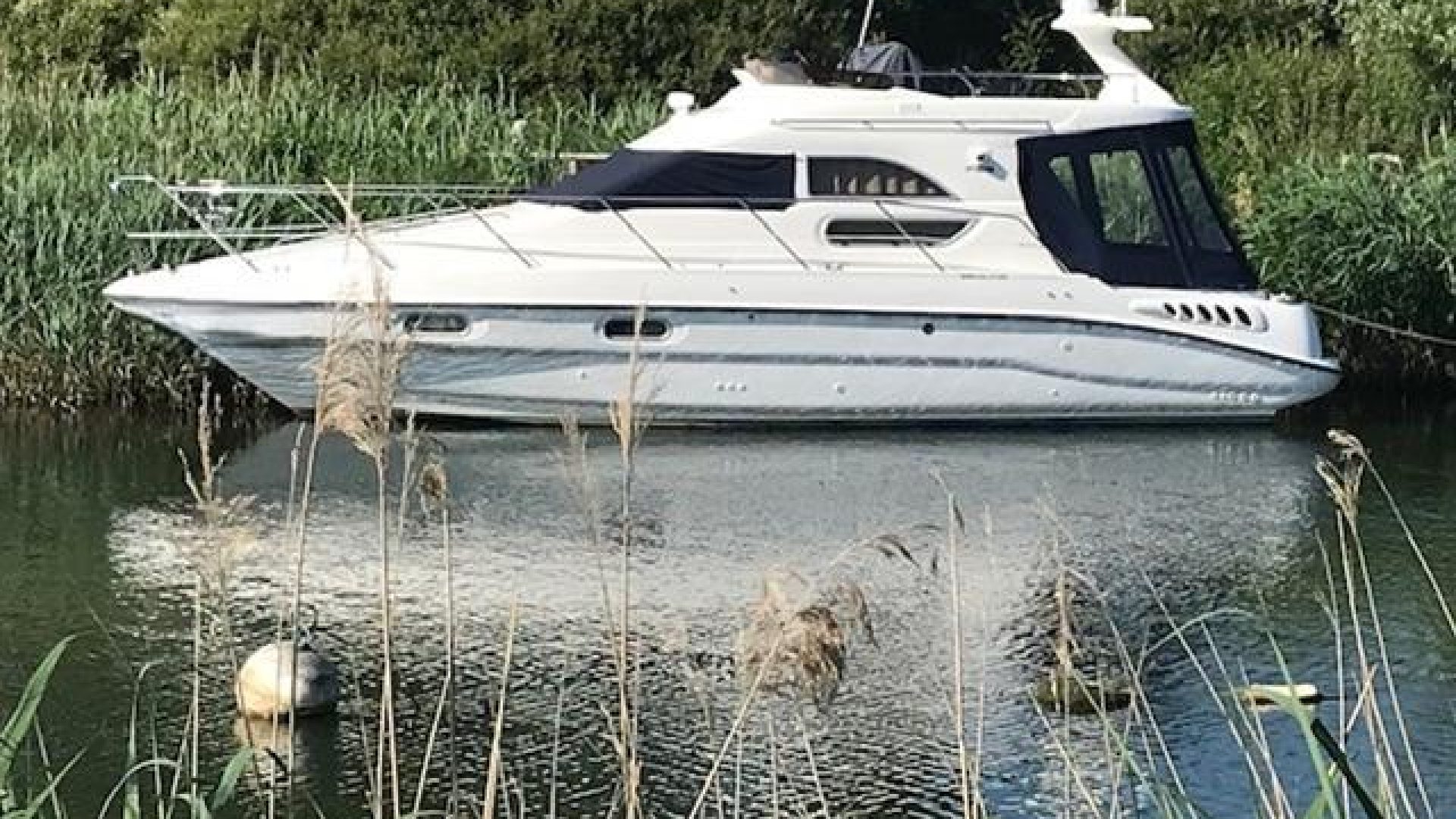 Sealine F33