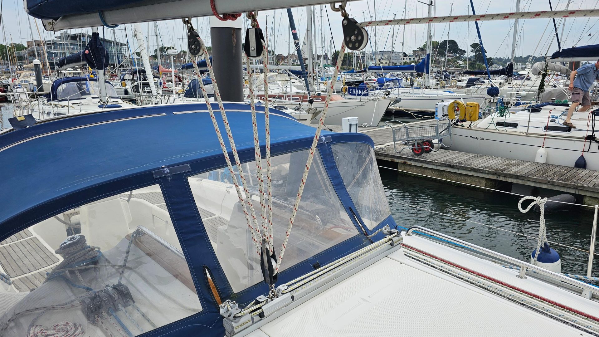 Bavaria 37