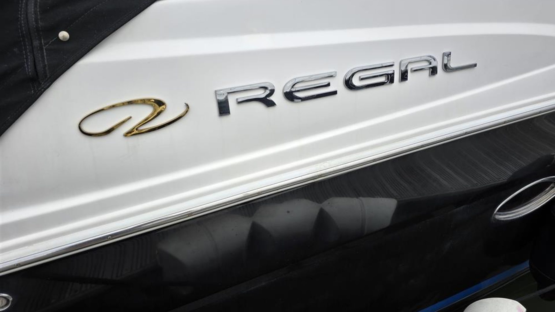 Regal 2565 Window Express