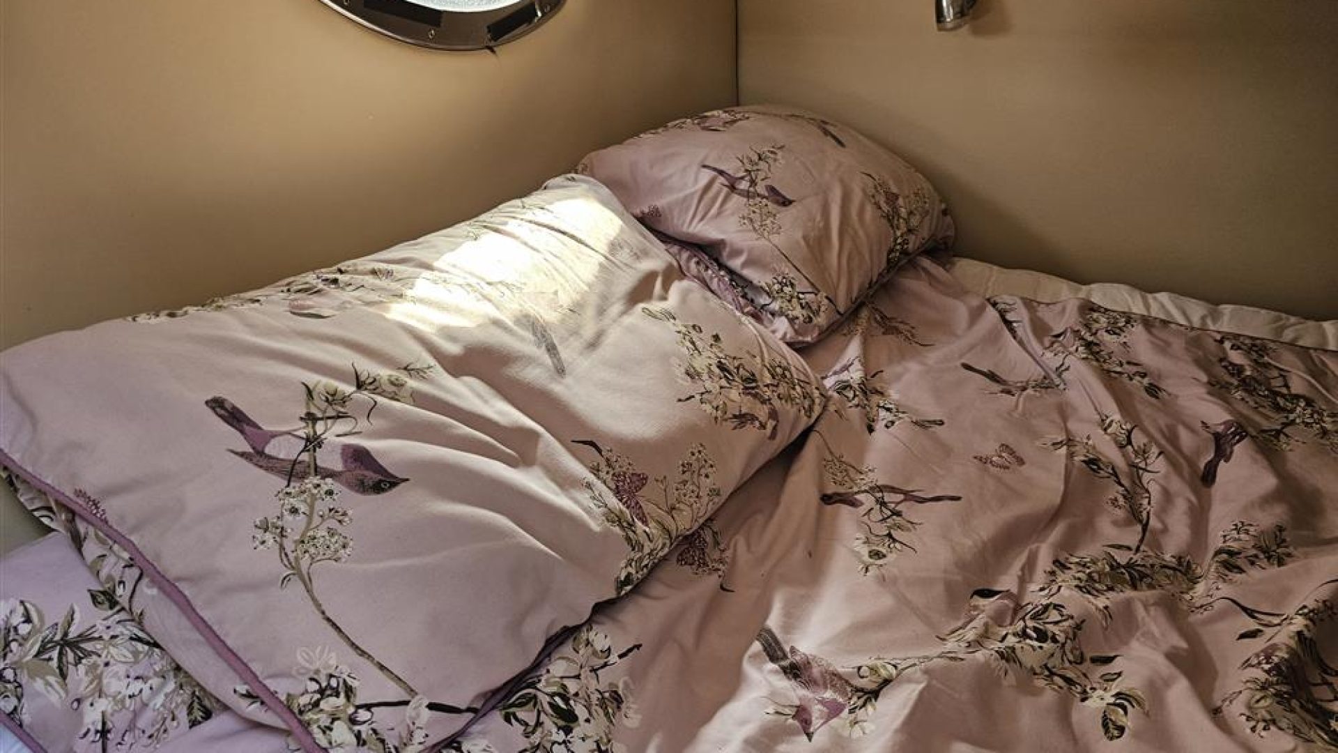 Regal 2565
