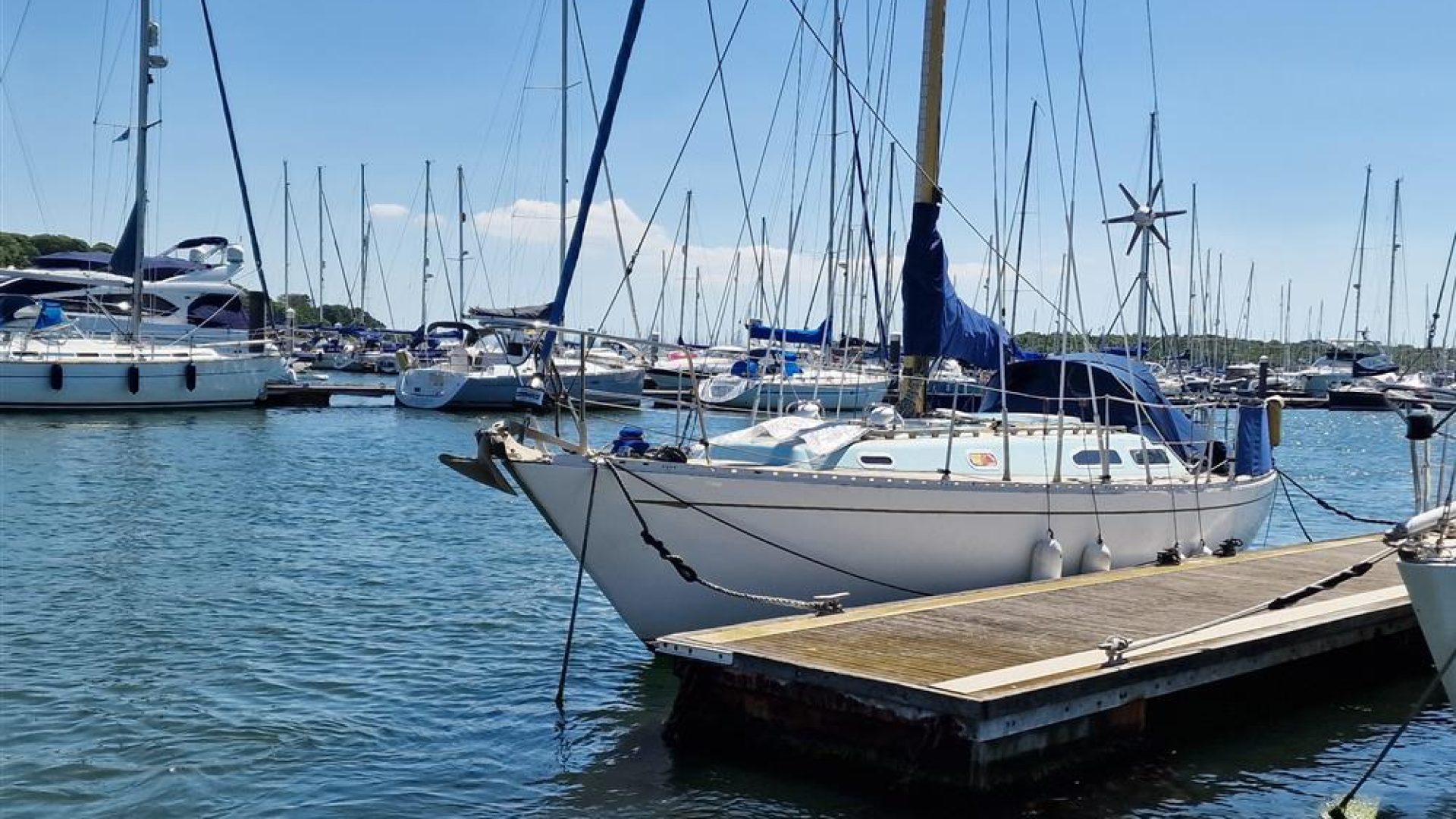 Rustler 36
