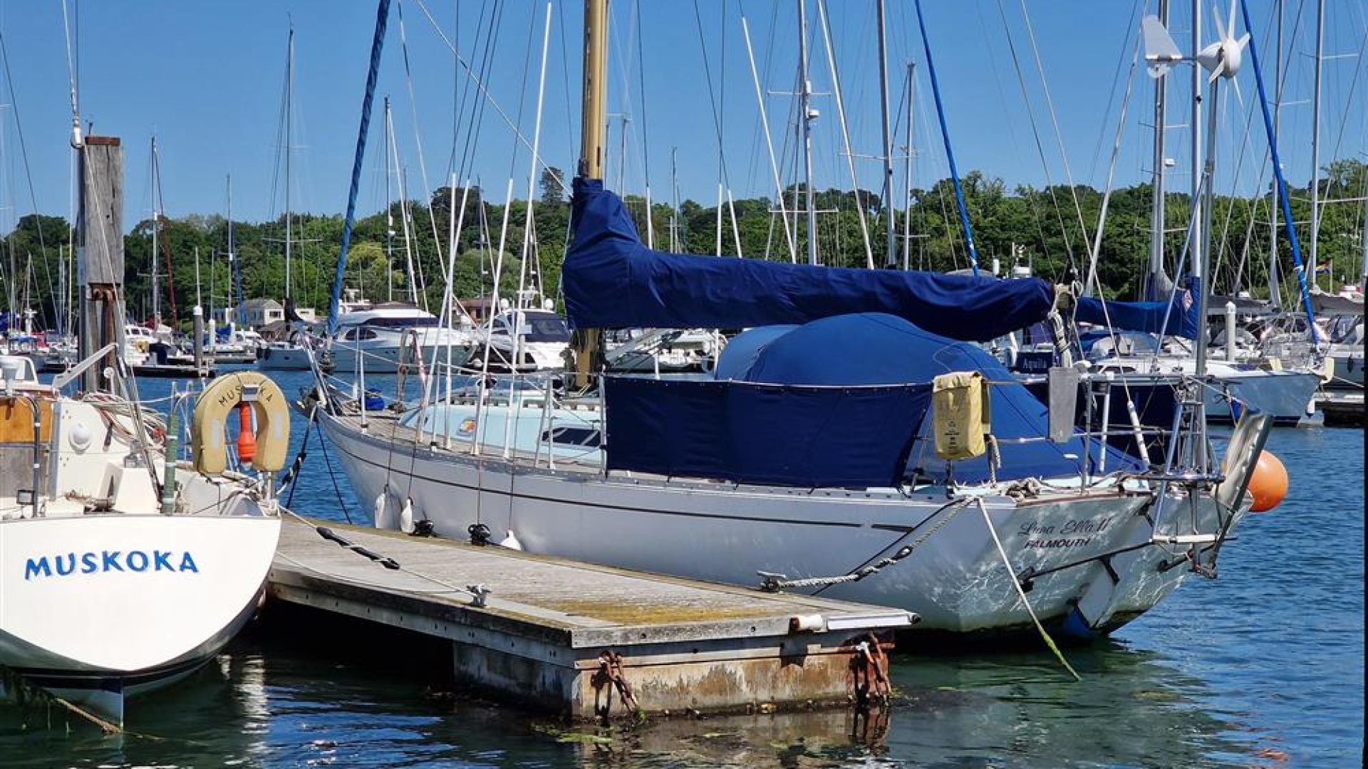 Rustler 36