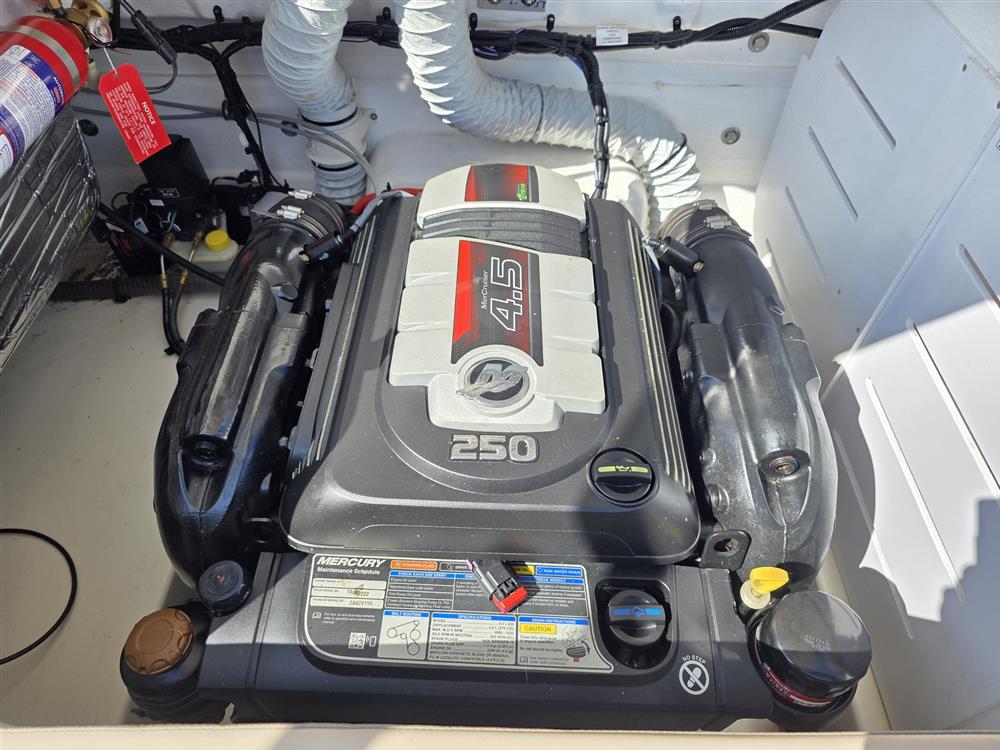 Bayliner Vr6