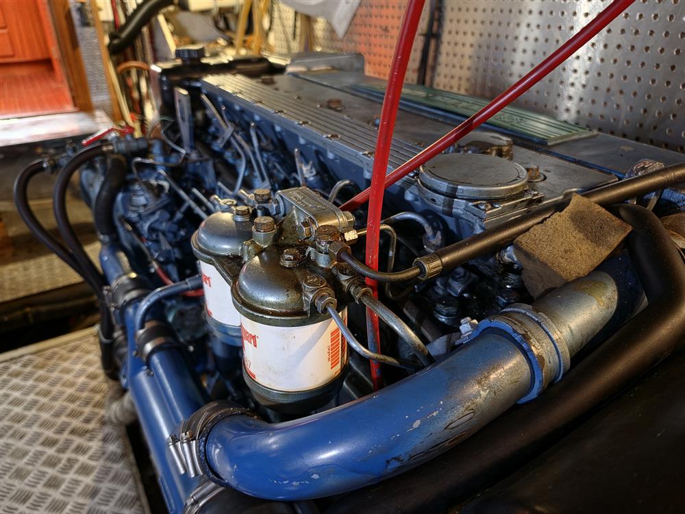 Trader 475 Signature