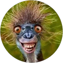 David Lax profile picture
